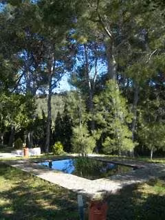 image url