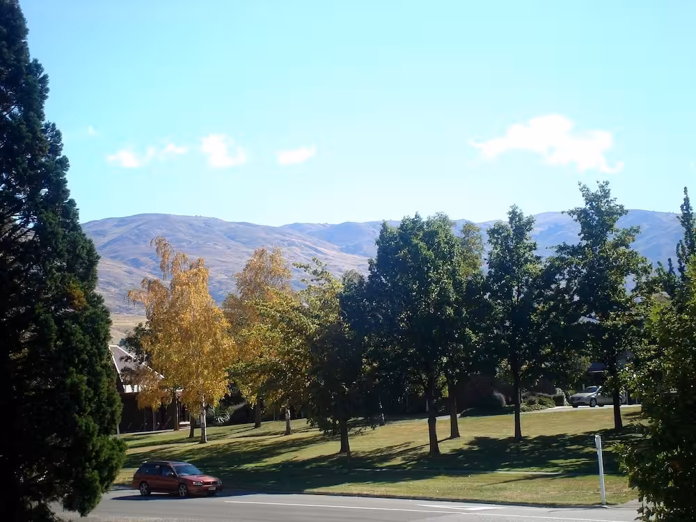 image url