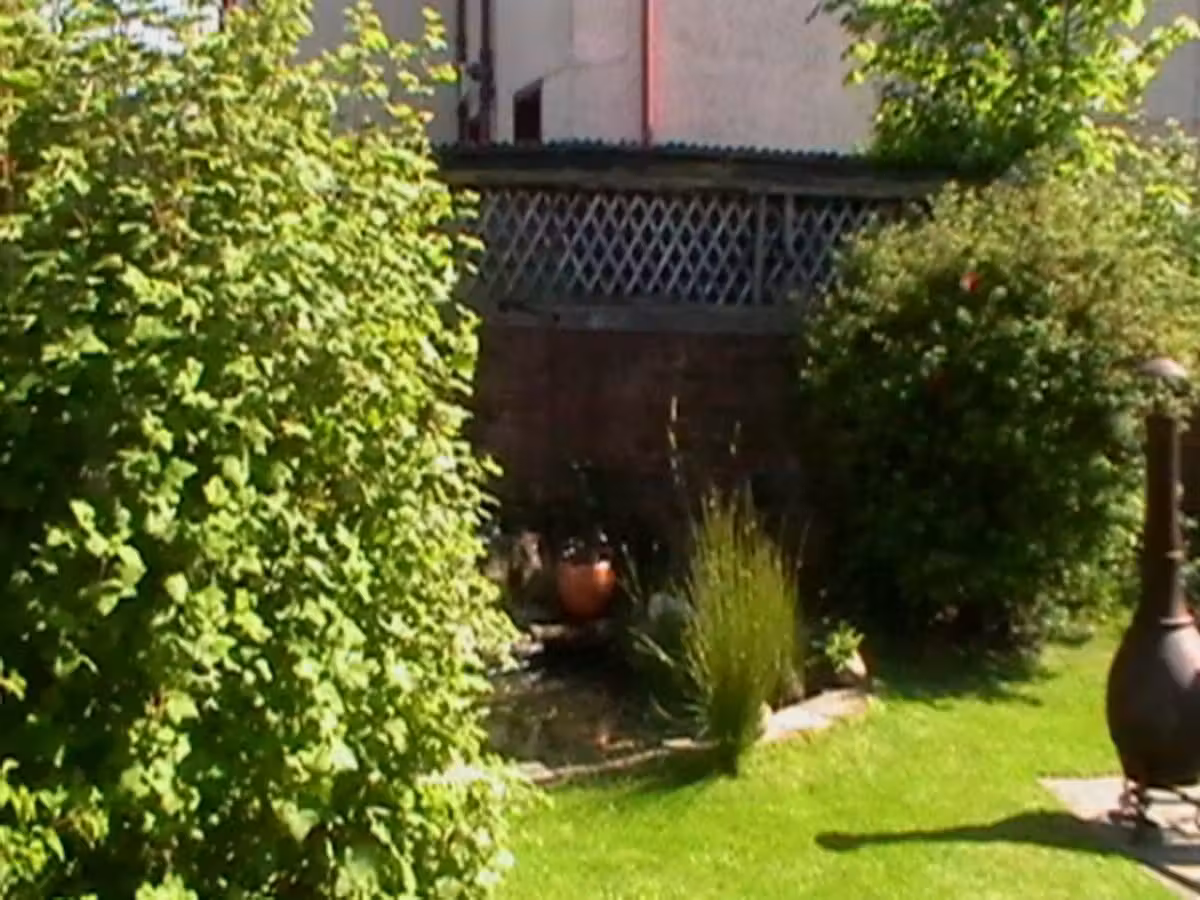 images