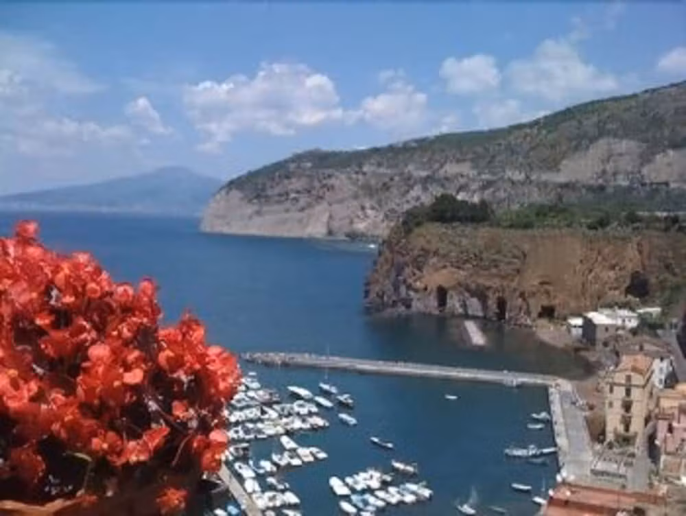 image url