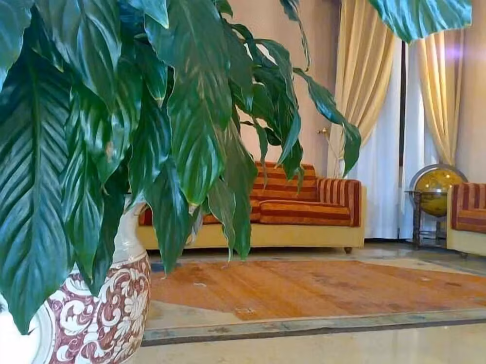 image url