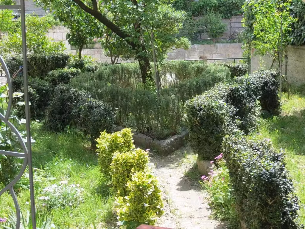 image url