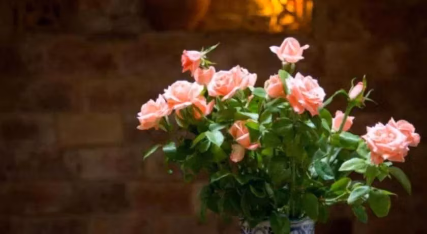 image url