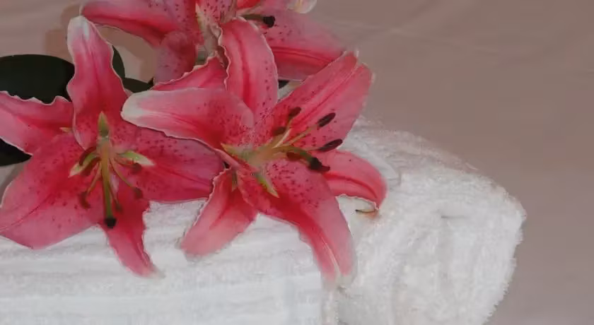 image url