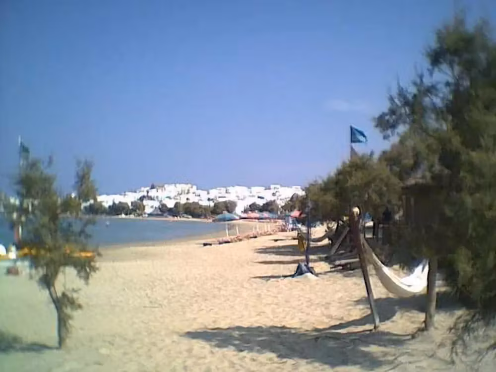 image url