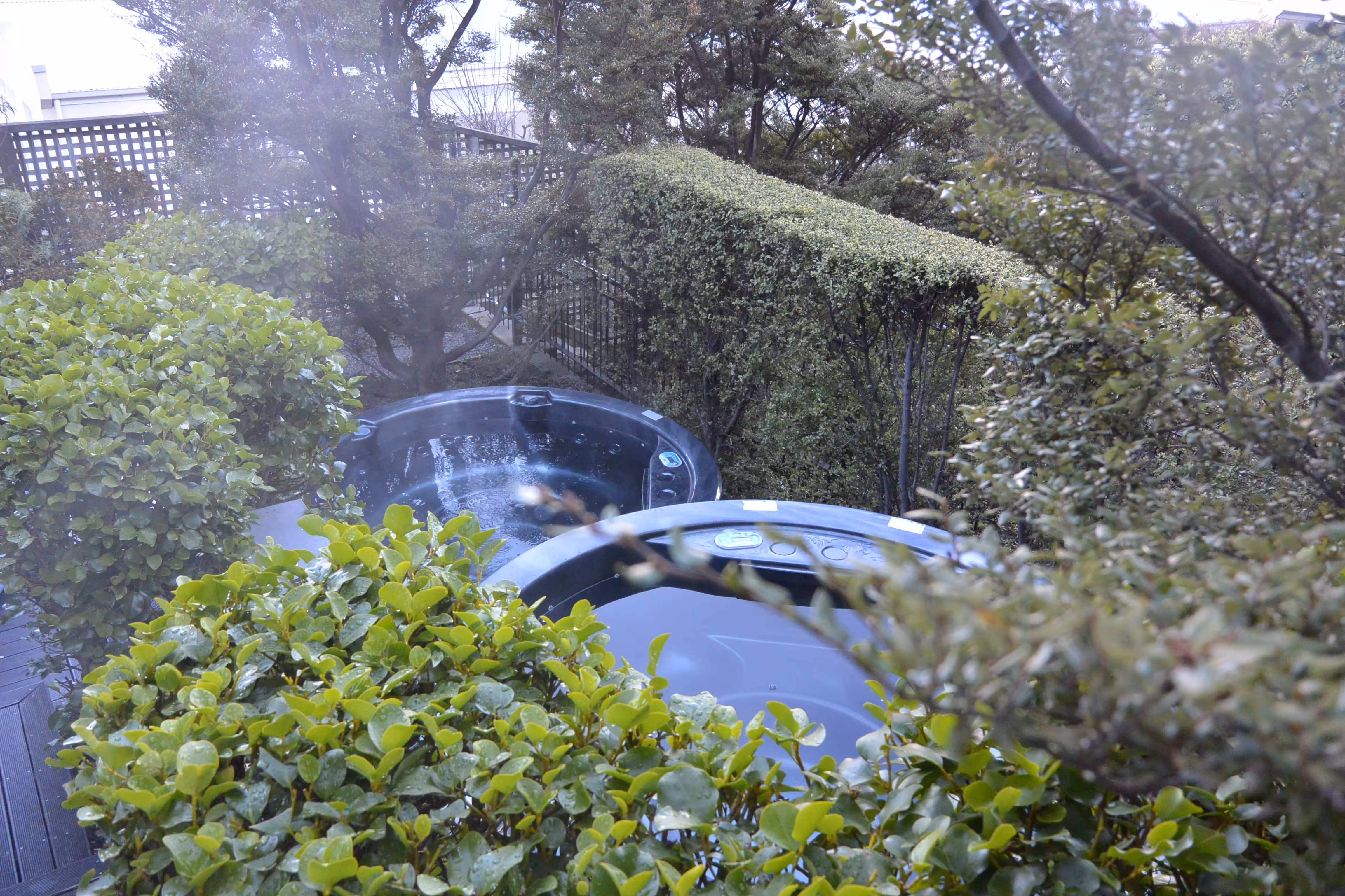 image url