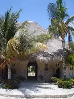 image url