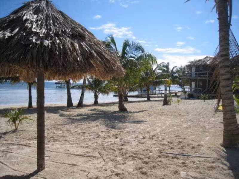 image url