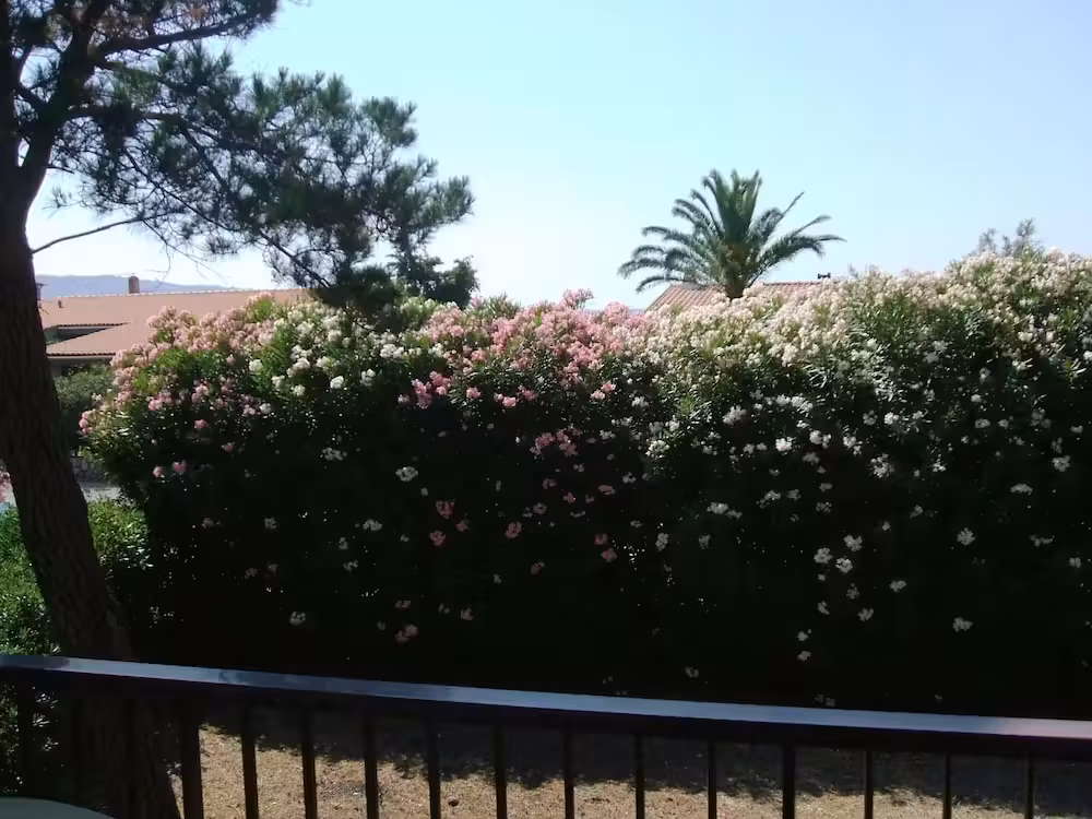 image url