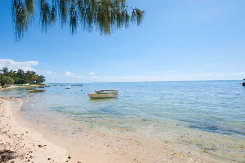 image url