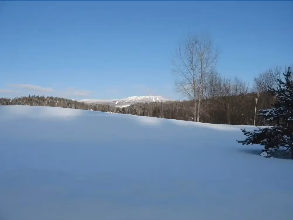 image url