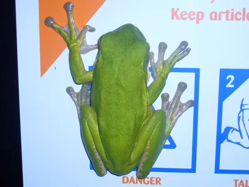 images