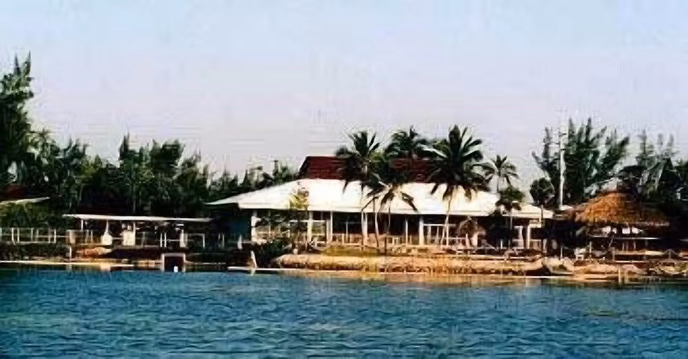 image url