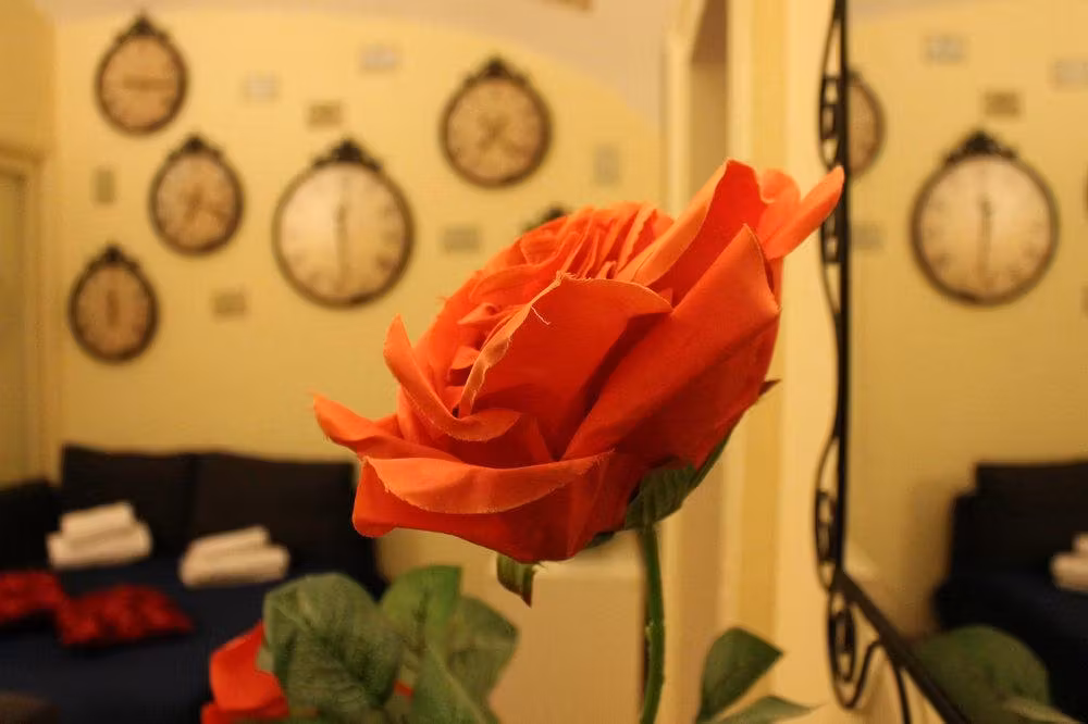 image url