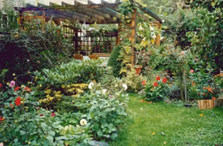 image url