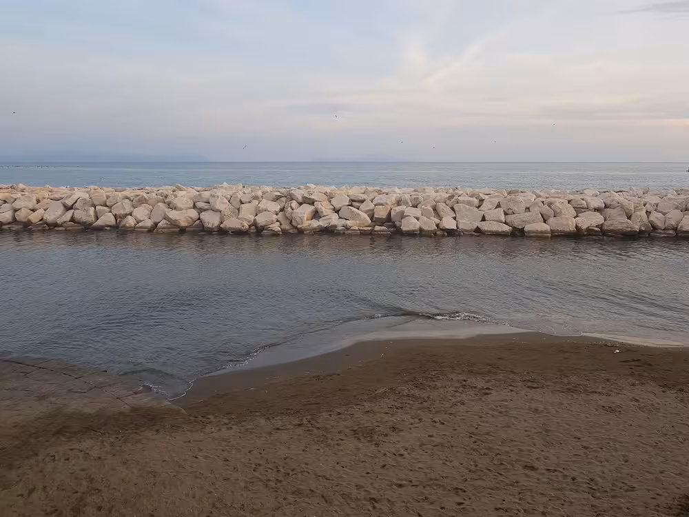 image url