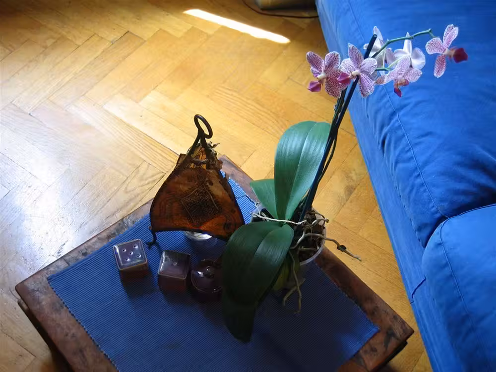 image url