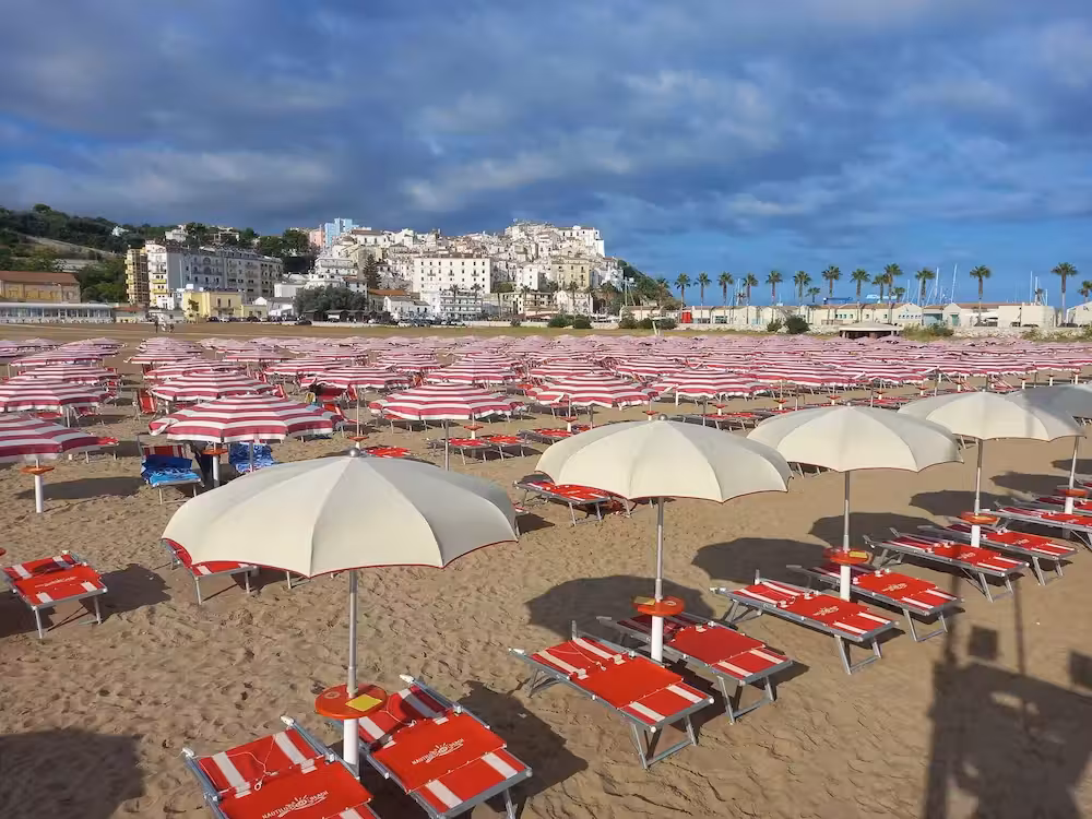 image url