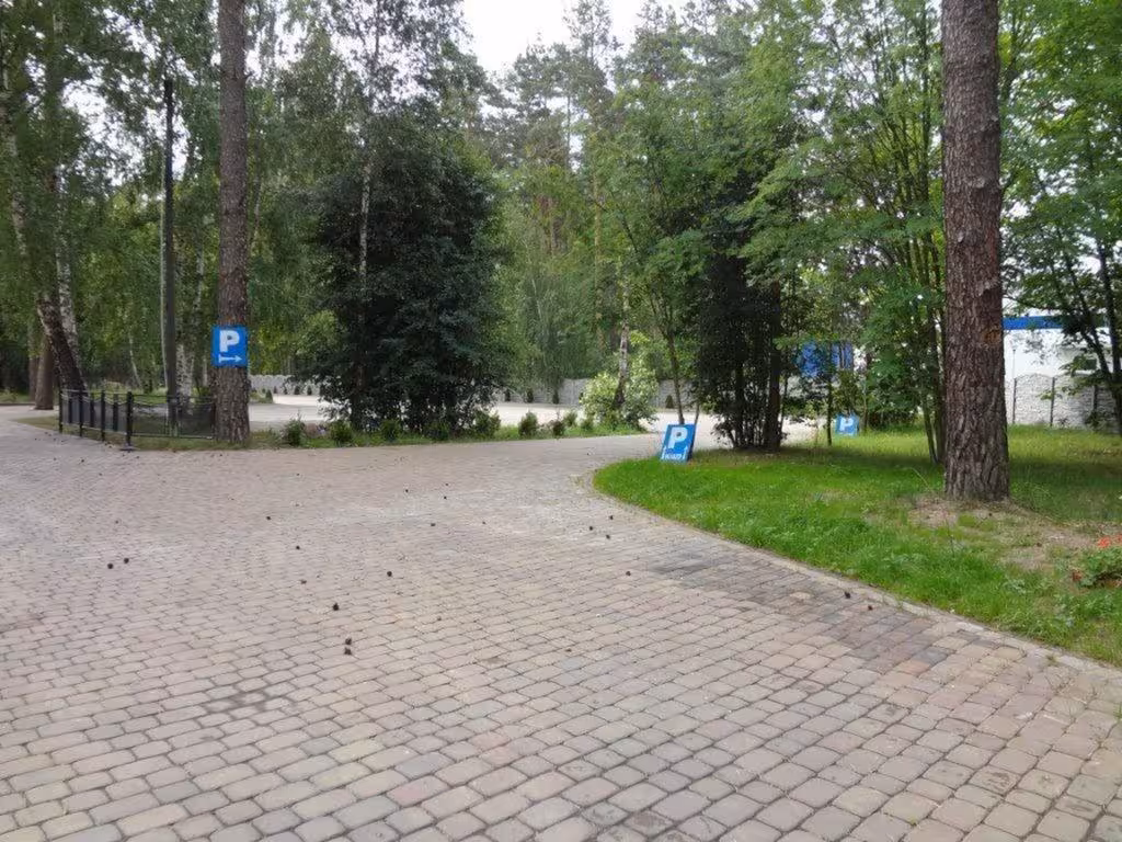 image url