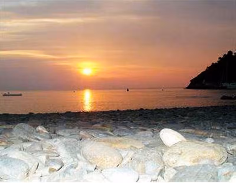 image url