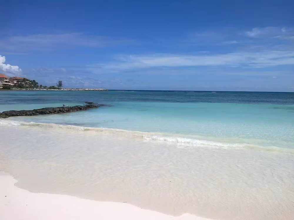 image url