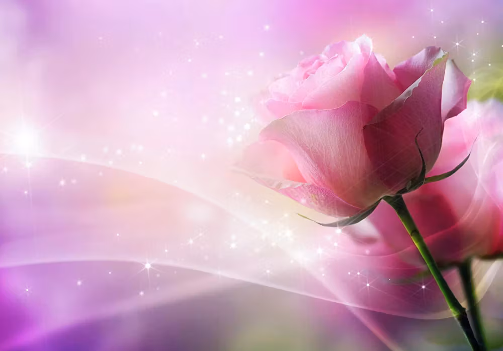 image url