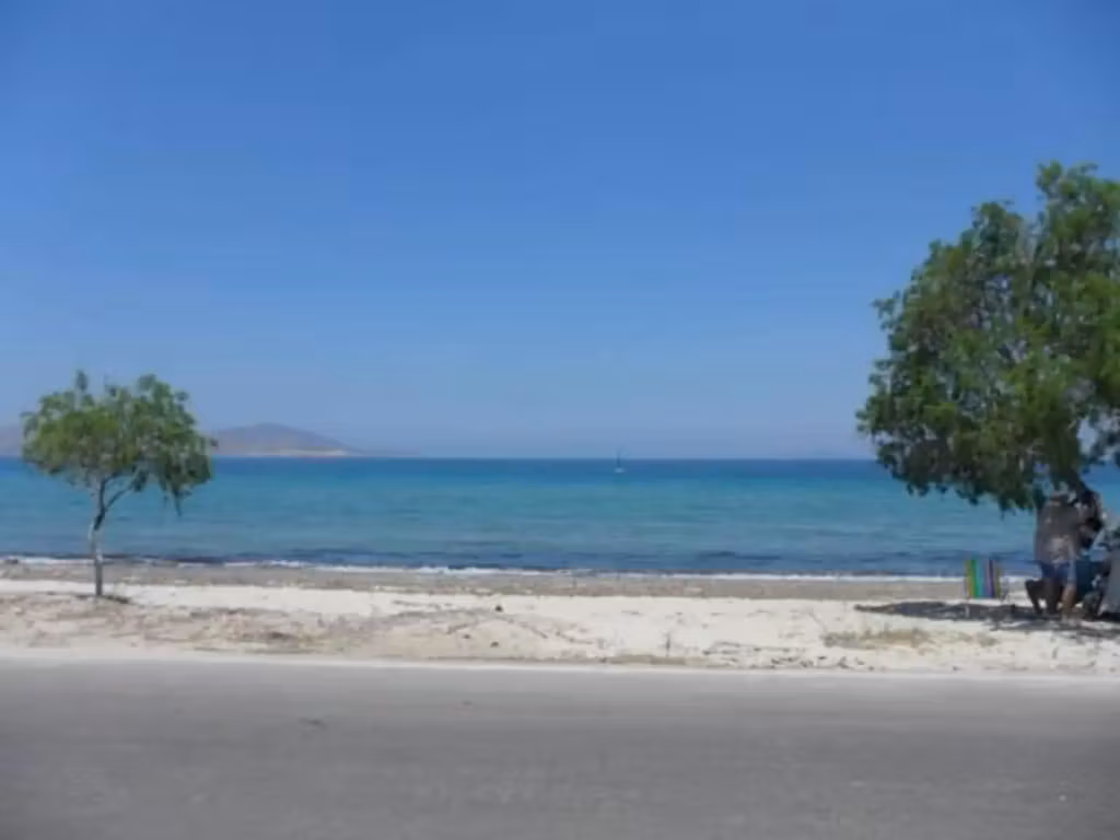 image url