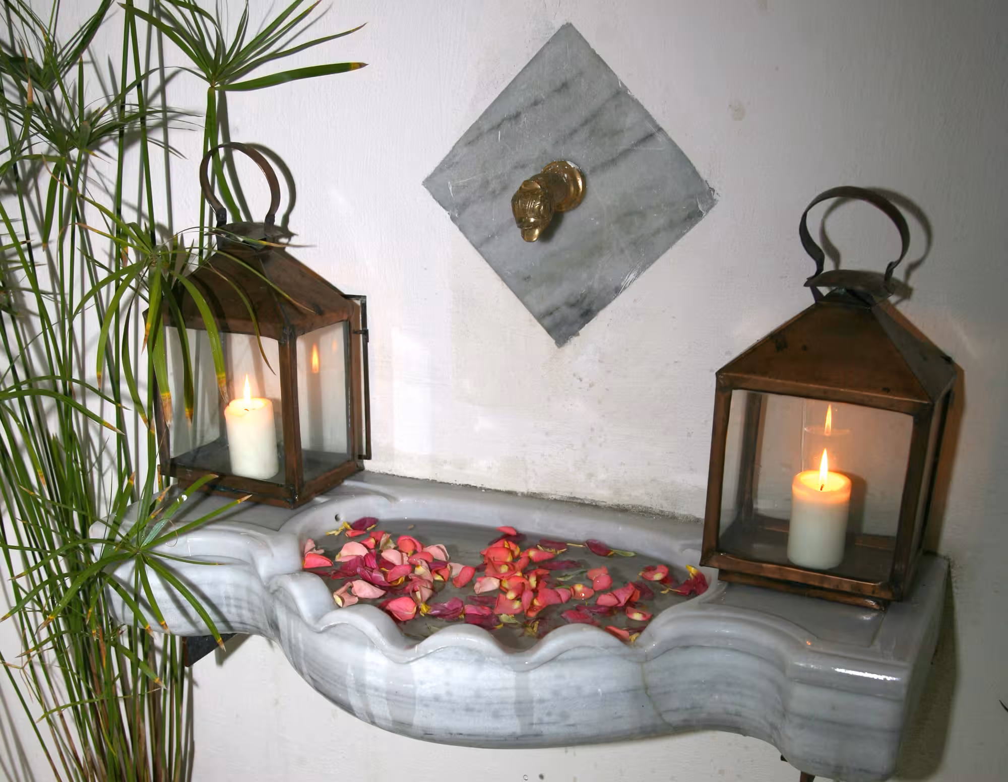image url