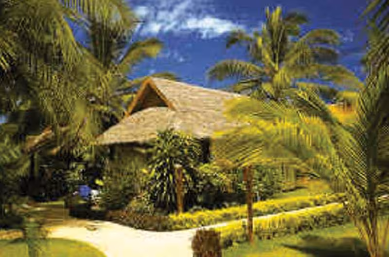 image url