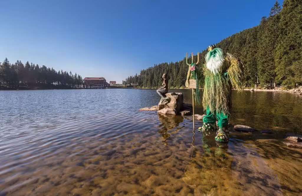 image url