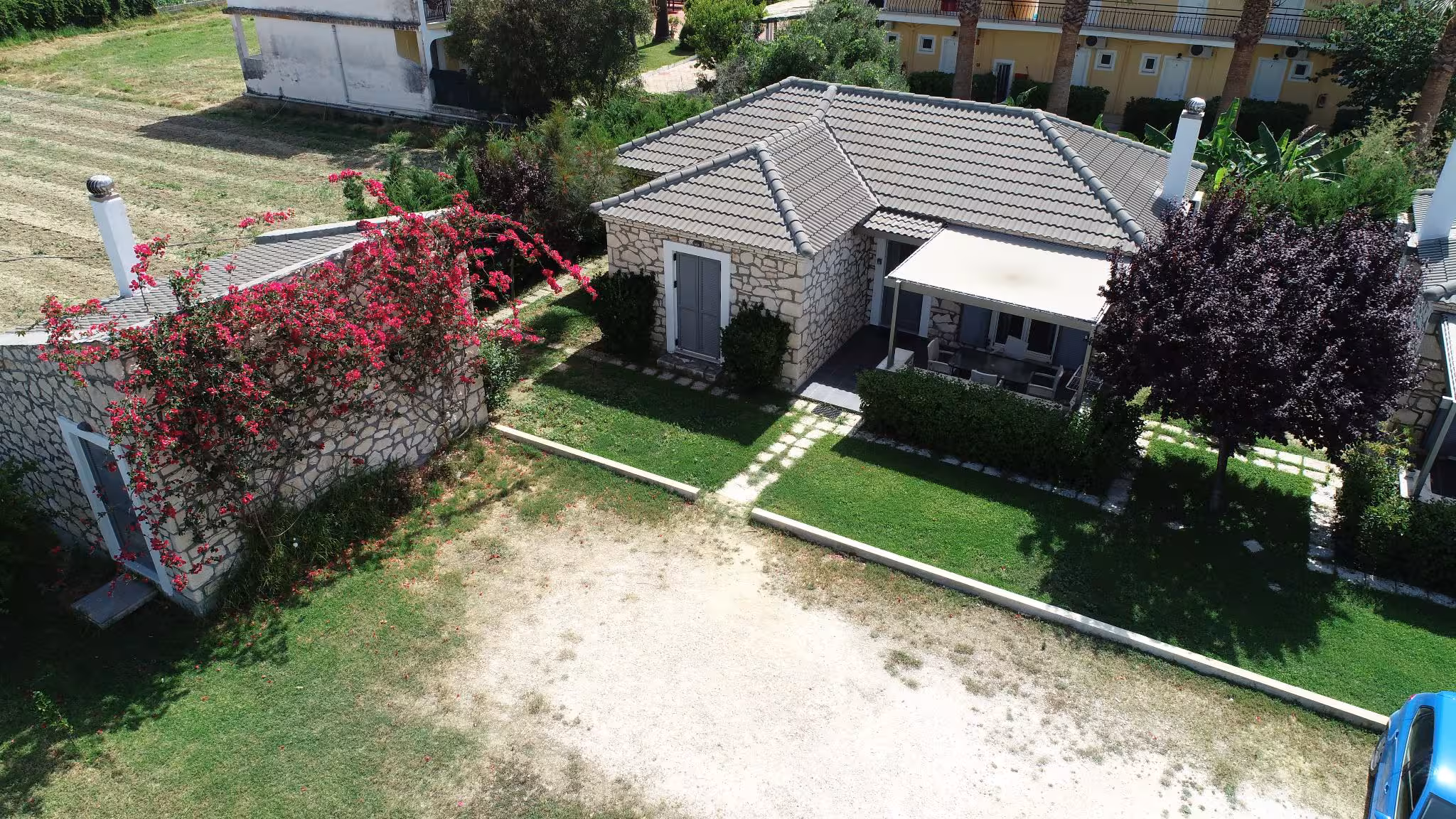 images