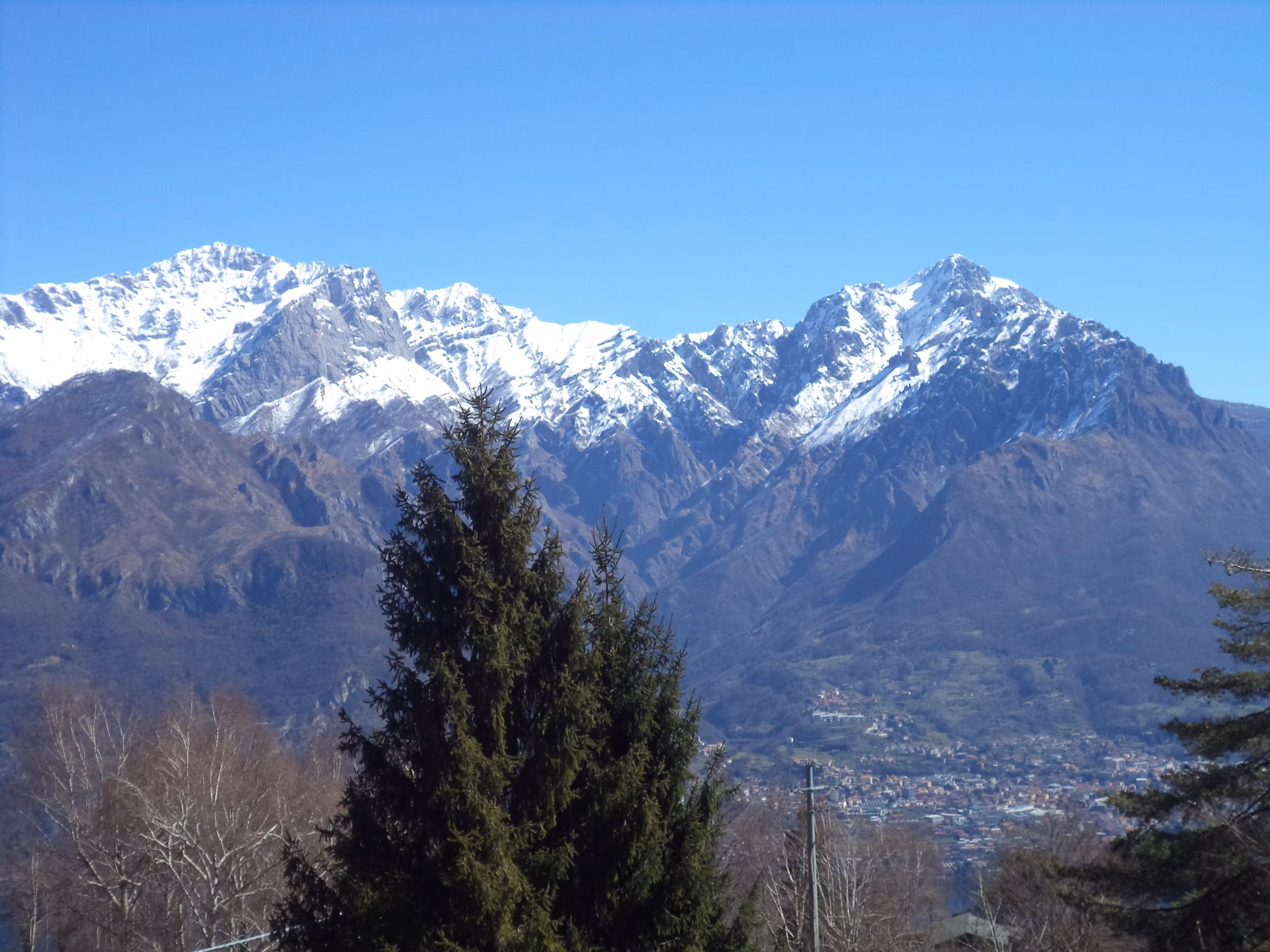 image url