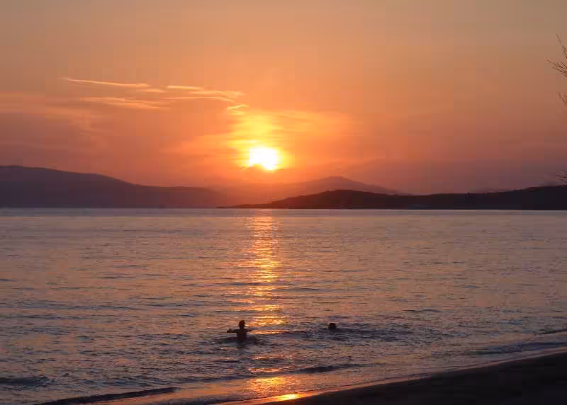 image url