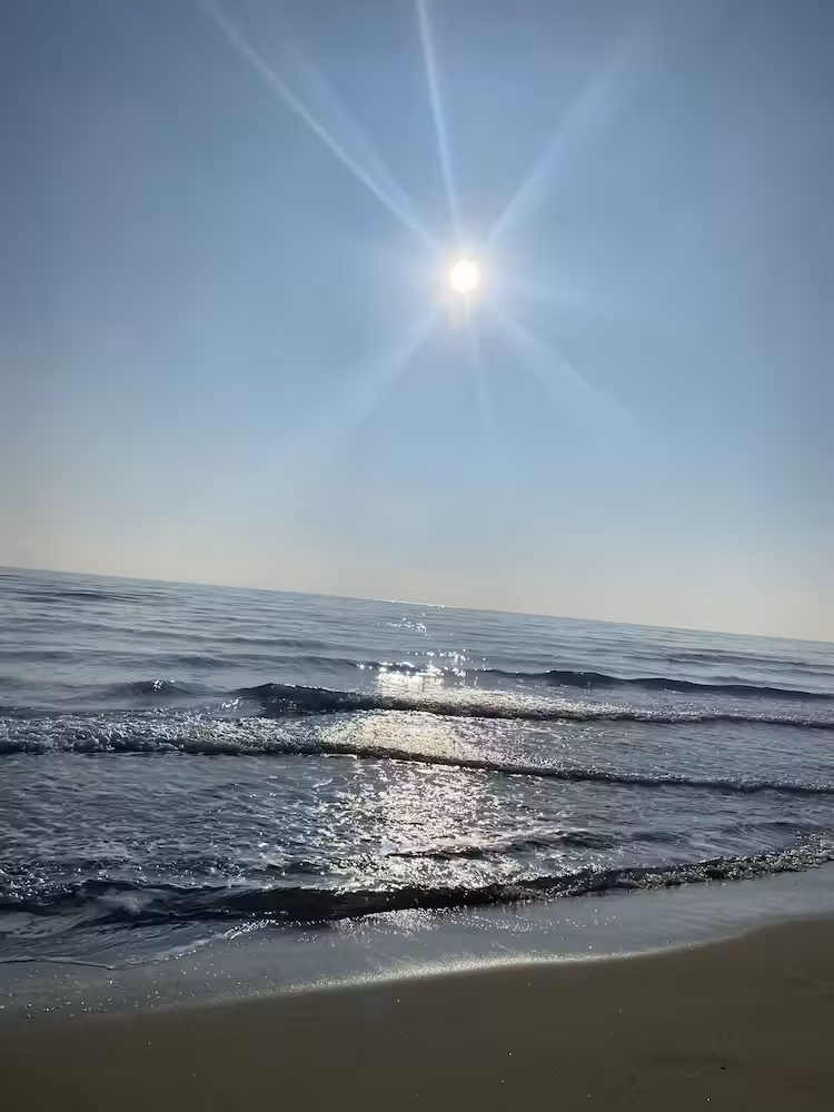 image url
