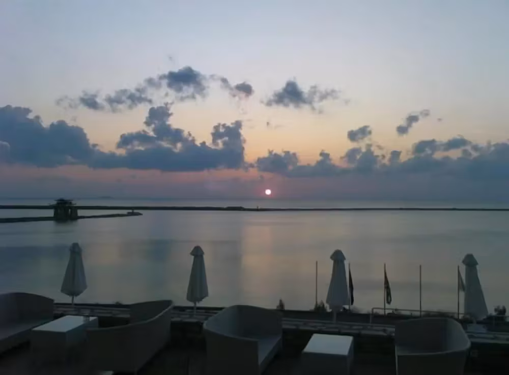 image url
