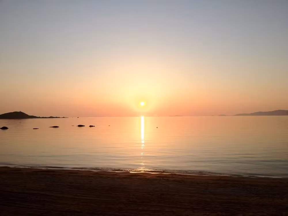 image url