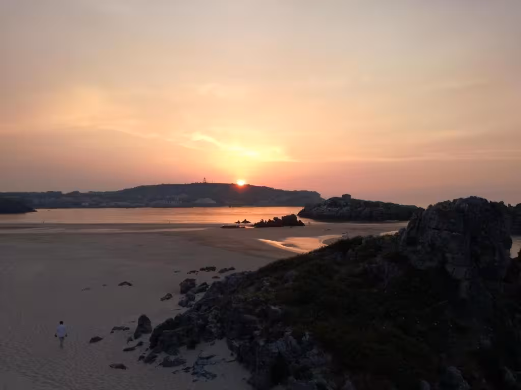 image url