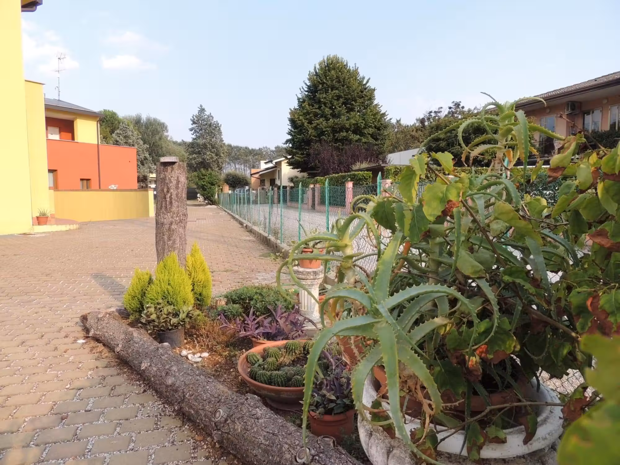 image url