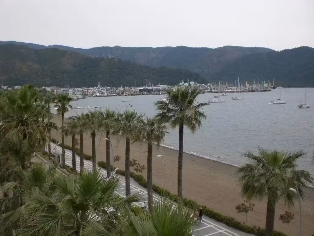 image url