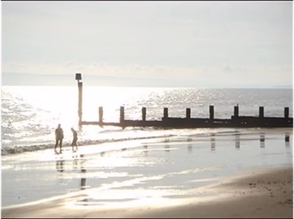 image url
