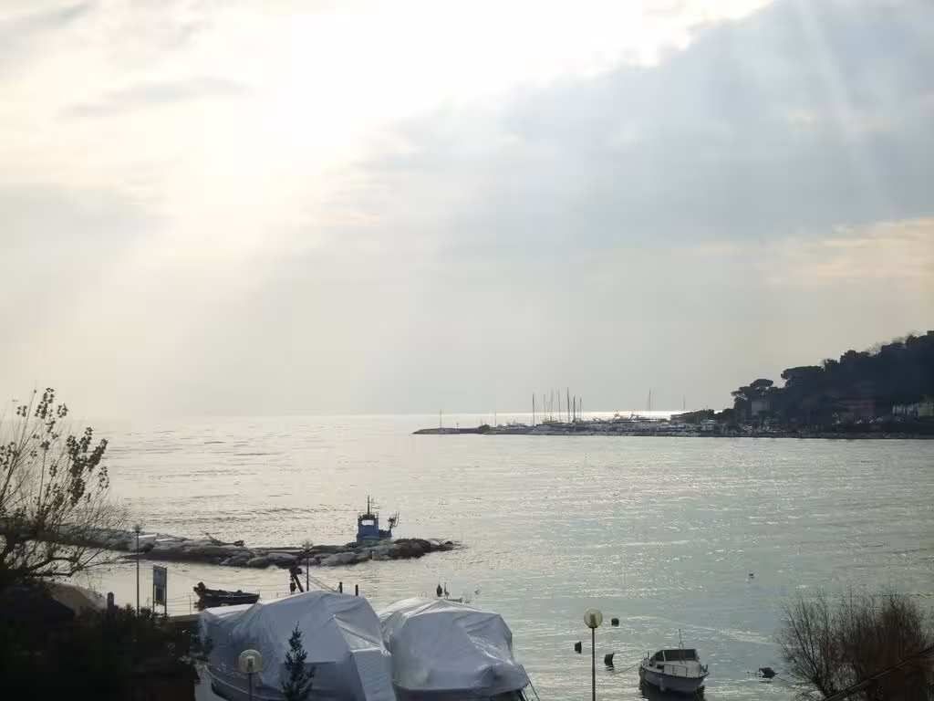 image url