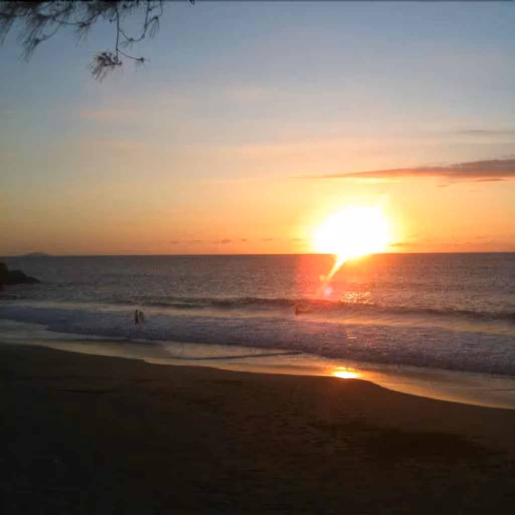 image url