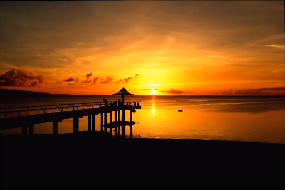 image url