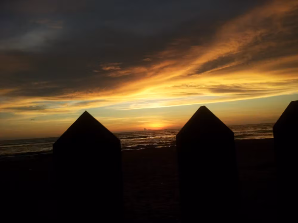 image url