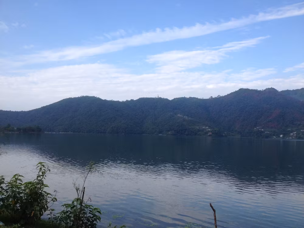 image url
