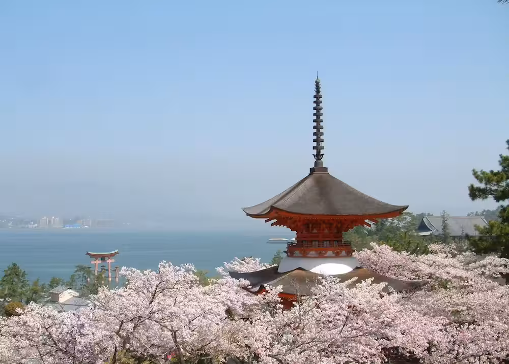 image url