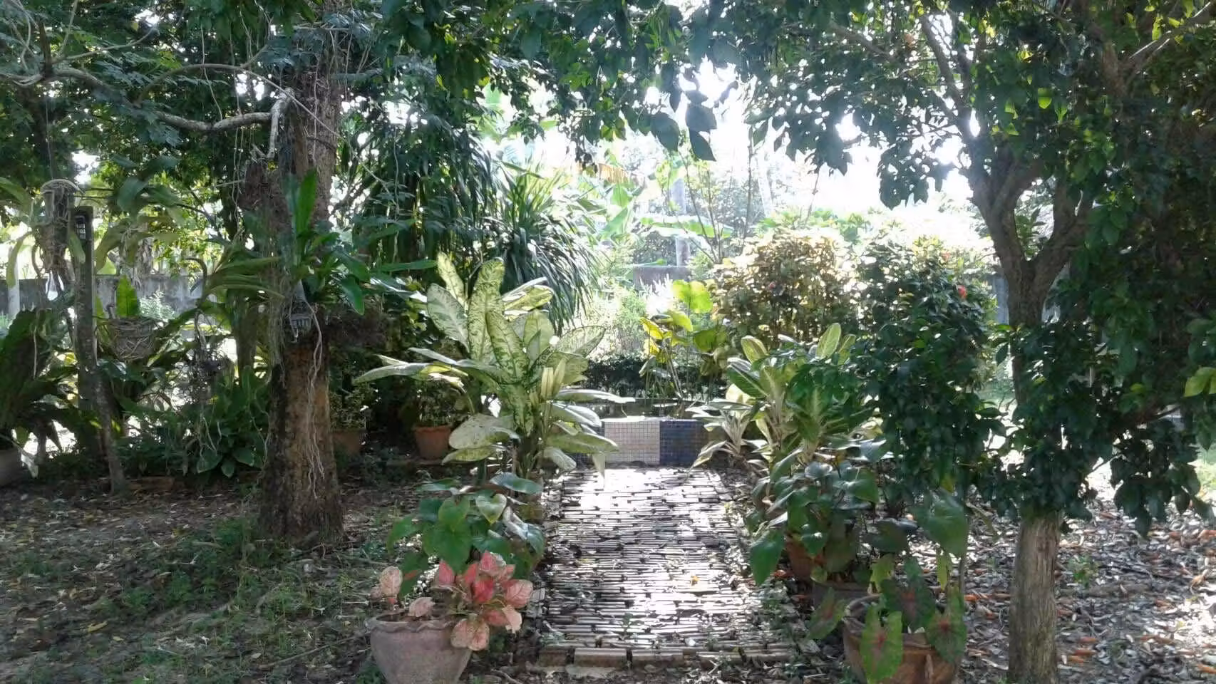 image url