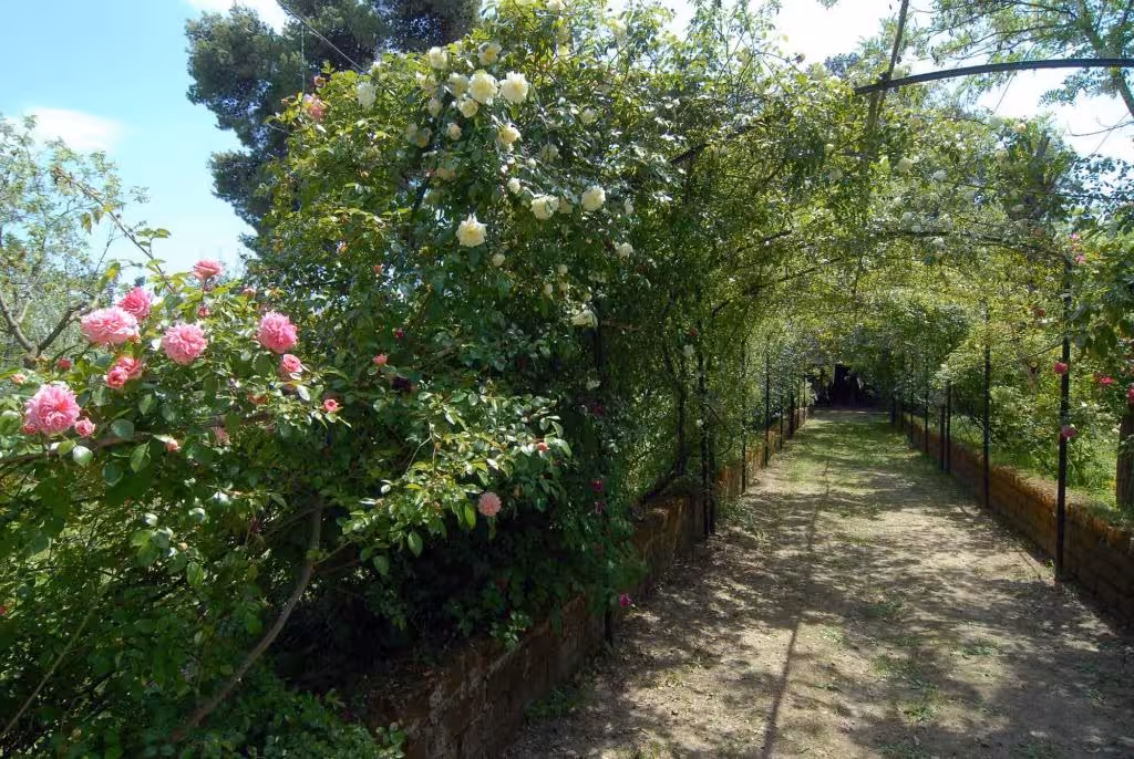 image url