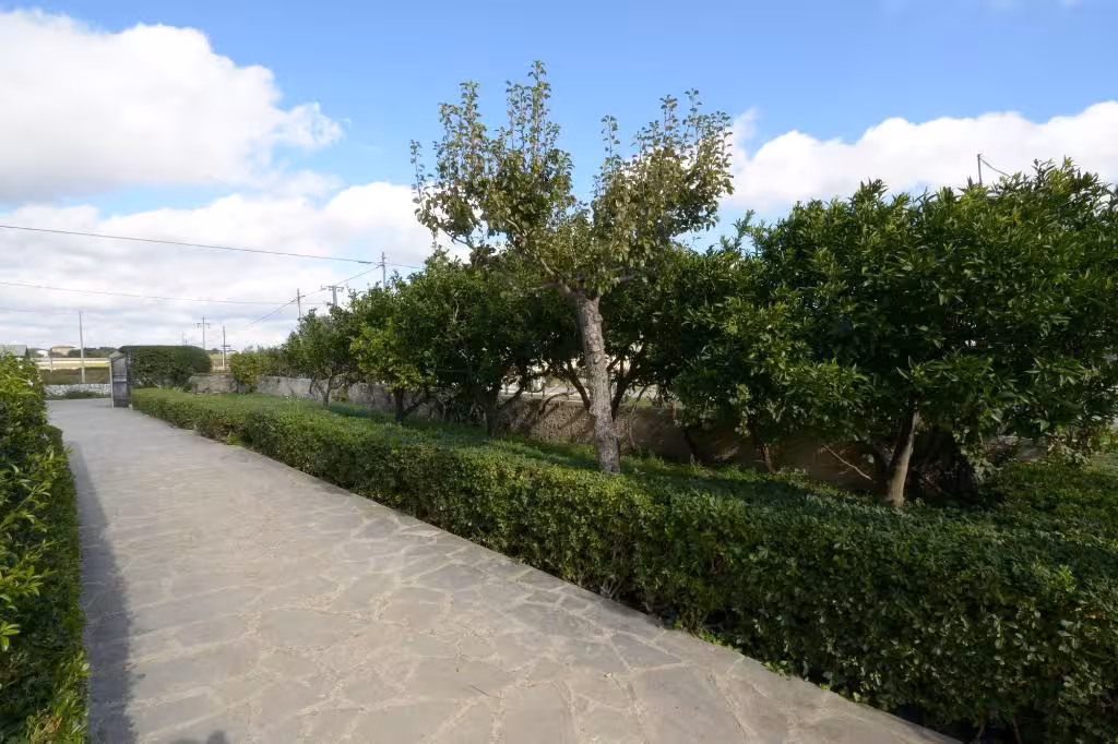 image url