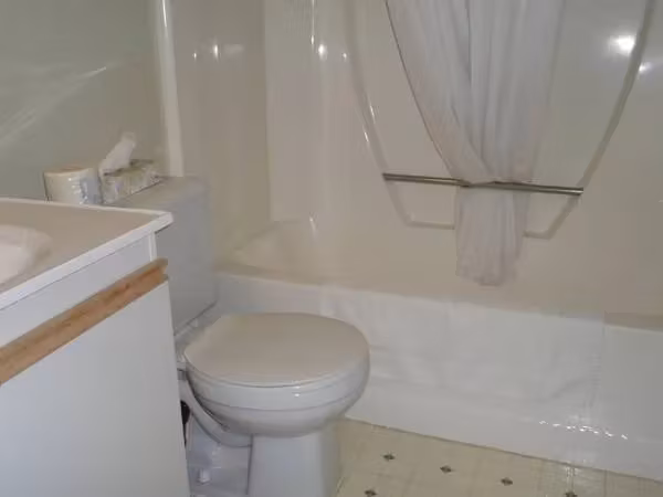 image url
